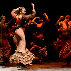 Fotografía de Conservatorio de Danza. Talleres 2013 de Baile Flamenco - Conservatorio de Danza