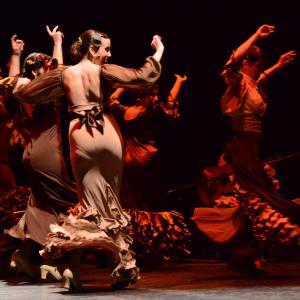 Fotografía de Conservatorio de Danza. Talleres 2013 de Baile Flamenco - Conservatorio de Danza