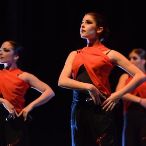 Fotografía de Conservatorio de Danza. Talleres 2013 de Danza Española - Conservatorio de Danza