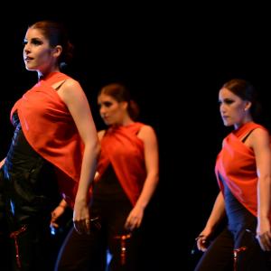 Fotografía de Conservatorio de Danza. Talleres 2013 de Danza Española - Conservatorio de Danza