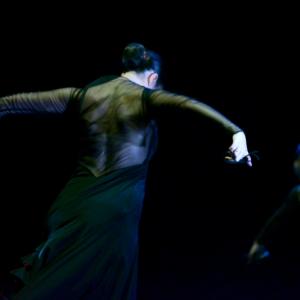 Fotografía de Conservatorio de Danza. Talleres 2013 de Danza Española - Conservatorio de Danza