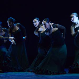 Fotografía de Conservatorio de Danza. Talleres 2013 de Danza Española - Conservatorio de Danza