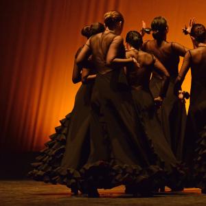 Fotografía de Conservatorio de Danza. Talleres 2013 de Danza Española - Conservatorio de Danza