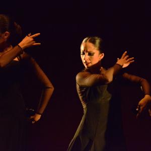 Fotografía de Conservatorio de Danza. Talleres 2013 de Danza Española - Conservatorio de Danza