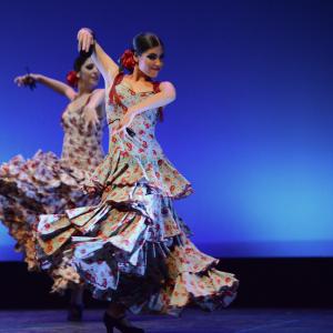 Fotografía de Conservatorio de Danza. Talleres 2013 de Danza Española - Conservatorio de Danza
