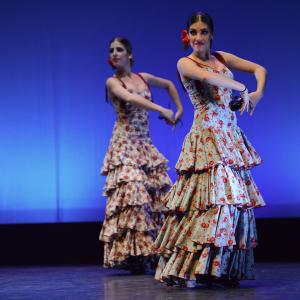 Fotografía de Conservatorio de Danza. Talleres 2013 de Danza Española - Conservatorio de Danza