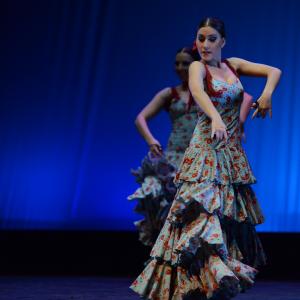 Fotografía de Conservatorio de Danza. Talleres 2013 de Danza Española - Conservatorio de Danza