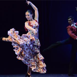 Fotografía de Conservatorio de Danza. Talleres 2013 de Danza Española - Conservatorio de Danza