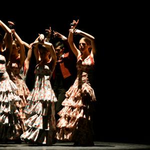 Fotografía de Conservatorio de Danza. Talleres 2013 de Danza Española - Conservatorio de Danza
