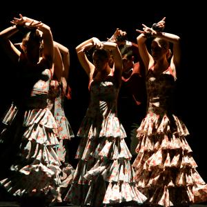Fotografía de Conservatorio de Danza. Talleres 2013 de Danza Española - Conservatorio de Danza