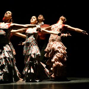 Fotografía de Conservatorio de Danza. Talleres 2013 de Danza Española - Conservatorio de Danza