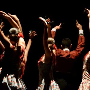 Fotografía de Conservatorio de Danza. Talleres 2013 de Danza Española - Conservatorio de Danza