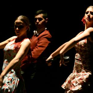 Fotografía de Conservatorio de Danza. Talleres 2013 de Danza Española - Conservatorio de Danza