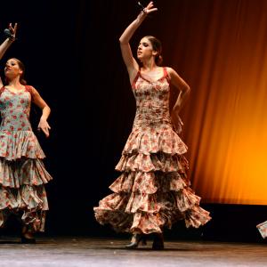 Fotografía de Conservatorio de Danza. Talleres 2013 de Danza Española - Conservatorio de Danza