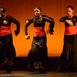 Fotografía de Conservatorio de Danza. Talleres 2013 de Danza Española - Conservatorio de Danza