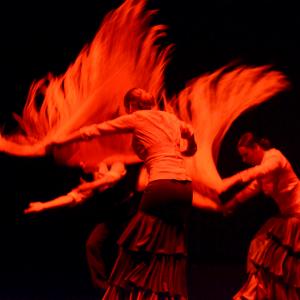 Fotografía de Conservatorio de Danza. Talleres 2013 de Danza Española - Conservatorio de Danza