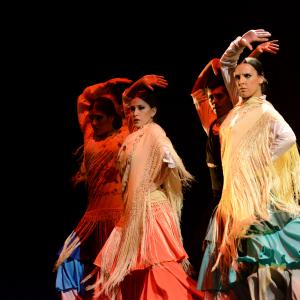 Fotografía de Conservatorio de Danza. Talleres 2013 de Danza Española - Conservatorio de Danza
