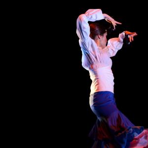 Fotografía de Conservatorio de Danza. Talleres 2013 de Danza Española - Conservatorio de Danza