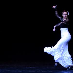 Fotografía de Muestra de Graduación en el Conservatorio de Danza - Conservatorio de Danza