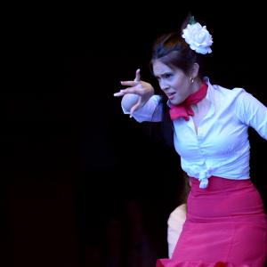 Fotografía de Muestra de Graduación en el Conservatorio de Danza - Conservatorio de Danza