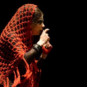 Fotografía de Cie Les Anachroniques: Yerma - Cie Les Anachroniques