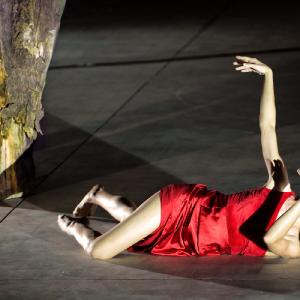 Fotografía de Canción más que ingenua, en el FEX - Granada Tanz Teatro