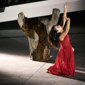 Fotografía de Canción más que ingenua, en el FEX - Granada Tanz Teatro