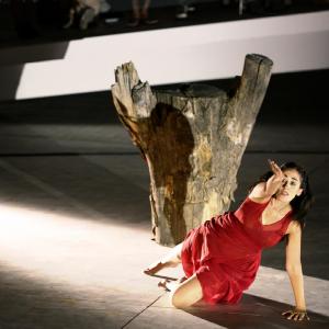 Fotografía de Canción más que ingenua, en el FEX - Granada Tanz Teatro