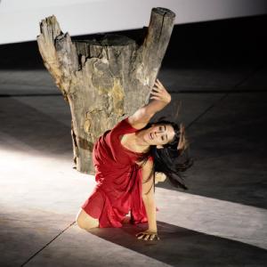 Fotografía de Canción más que ingenua, en el FEX - Granada Tanz Teatro