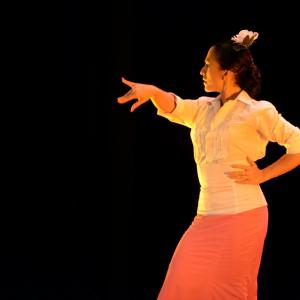 Fotografía de Festival Mónica Gomez - 