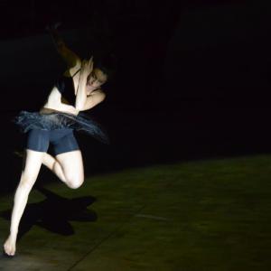 Fotografía de FEX 2013: Danza performance - 