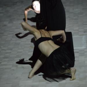 Fotografía de FEX 2013: Danza performance - 