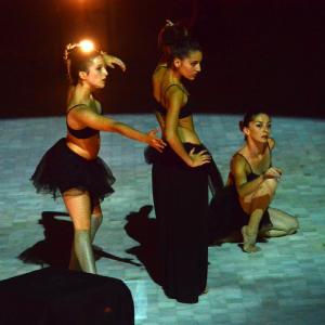 Fotografía de FEX 2013: Danza performance - 