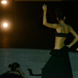 Fotografía de FEX 2013: Danza performance - 