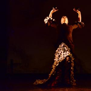 Fotografía de II muestra de Danza y Flamenco del estudio de Oscar Quero - Oscar Quero