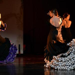 Fotografía de II muestra de Danza y Flamenco del estudio de Oscar Quero - Oscar Quero
