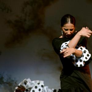 Fotografía de II muestra de Danza y Flamenco del estudio de Oscar Quero - Oscar Quero