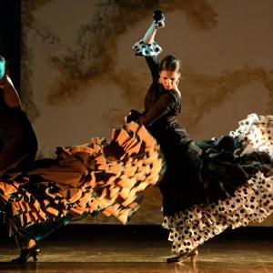 Fotografía de II muestra de Danza y Flamenco del estudio de Oscar Quero - Oscar Quero