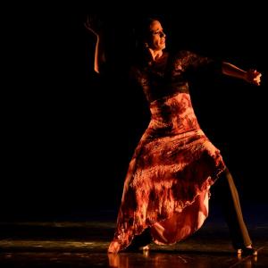 Fotografía de II muestra de Danza y Flamenco del estudio de Oscar Quero - Oscar Quero