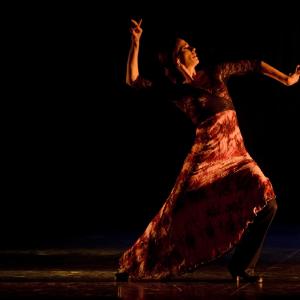 Fotografía de II muestra de Danza y Flamenco del estudio de Oscar Quero - Oscar Quero