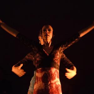 Fotografía de II muestra de Danza y Flamenco del estudio de Oscar Quero - Oscar Quero