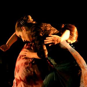 Fotografía de II muestra de Danza y Flamenco del estudio de Oscar Quero - Oscar Quero