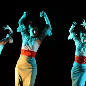 Fotografía de II muestra de Danza y Flamenco del estudio de Oscar Quero - Oscar Quero