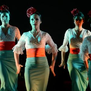 Fotografía de II muestra de Danza y Flamenco del estudio de Oscar Quero - Oscar Quero