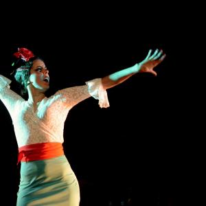 Fotografía de II muestra de Danza y Flamenco del estudio de Oscar Quero - Oscar Quero