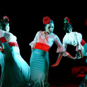 Fotografía de II muestra de Danza y Flamenco del estudio de Oscar Quero - Oscar Quero