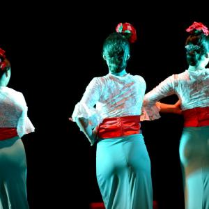 Fotografía de II muestra de Danza y Flamenco del estudio de Oscar Quero - Oscar Quero