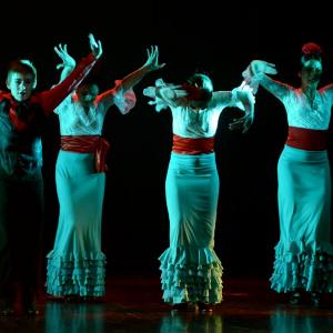 Fotografía de II muestra de Danza y Flamenco del estudio de Oscar Quero - Oscar Quero