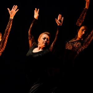 Fotografía de II muestra de Danza y Flamenco del estudio de Oscar Quero - Oscar Quero