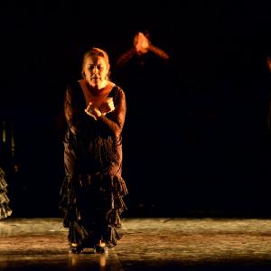 Fotografía de II muestra de Danza y Flamenco del estudio de Oscar Quero - Oscar Quero